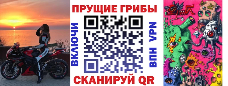 наркота  Тихорецк  Псилоцибиновые грибы Magic Shrooms 